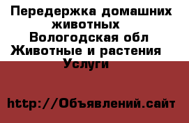Передержка домашних животных - Вологодская обл. Животные и растения » Услуги   